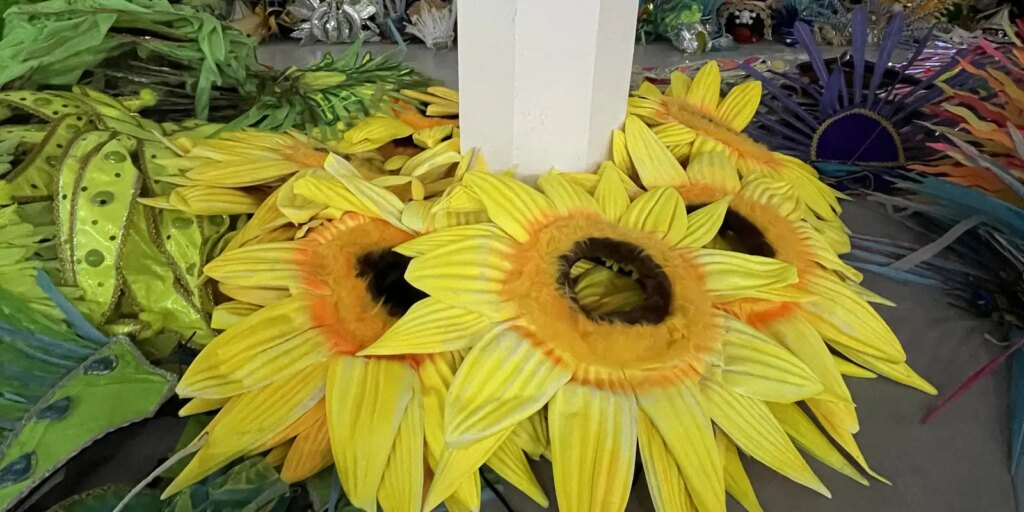 Projeto reaproveita fantasias da Sapucaí para novos foliões