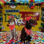 Shopping Difusora realiza fim de semana carnavalesco e bloCão em parceria com Anderson Correia