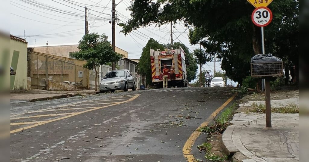 Vídeos mostram temporal que derrubou árvores e deixou mil imóveis sem luz em Londrina