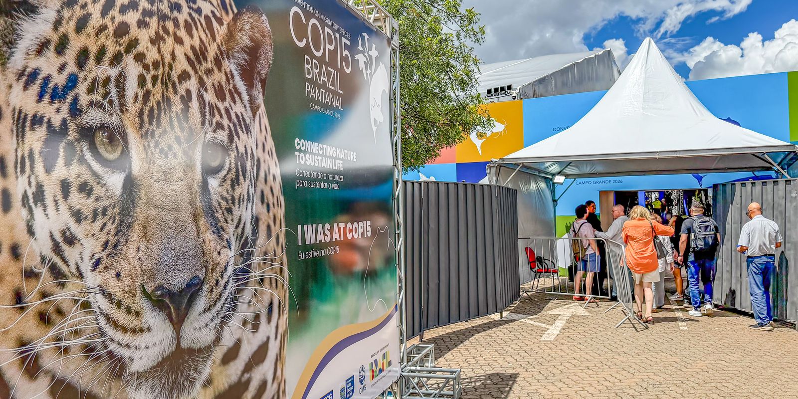 Brasil sedia encontro mundial sobre proteção das espécies migratórias