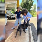 Cão idoso há mais tempo em centro de adoção de Apucarana ganha família após 4 anos de espera