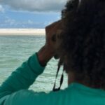 Elefante-marinho volta a ser avistado no litoral alagoano