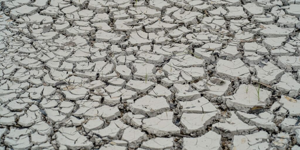 Estiagem: quinze cidades têm situação de emergência decretada