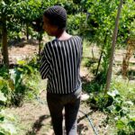 Horta comunitária reúne memória, cuidado e cidadania em favela do Rio