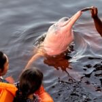 Insegurança é barreira para 62% das mulheres viajarem sozinhas