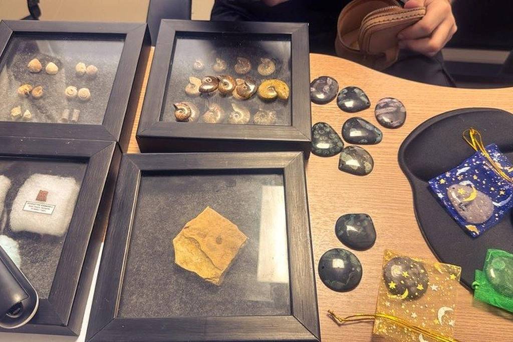 PF apreende 56 fósseis em operação no Ceará - 06/03/2026 - Cotidiano