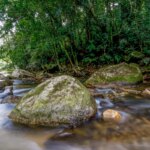 Plano busca fortalecer Sistema Nacional do Meio Ambiente até 2036