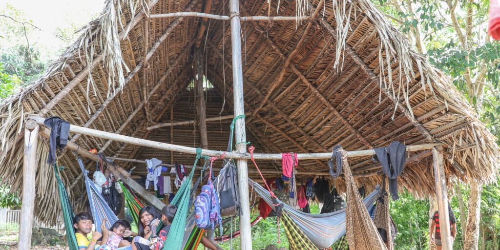 Povo Parakanã, do Pará, reocupa território após retirada de invasores