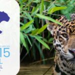 Queda na conservação de espécies migratórias pautará encontro da ONU