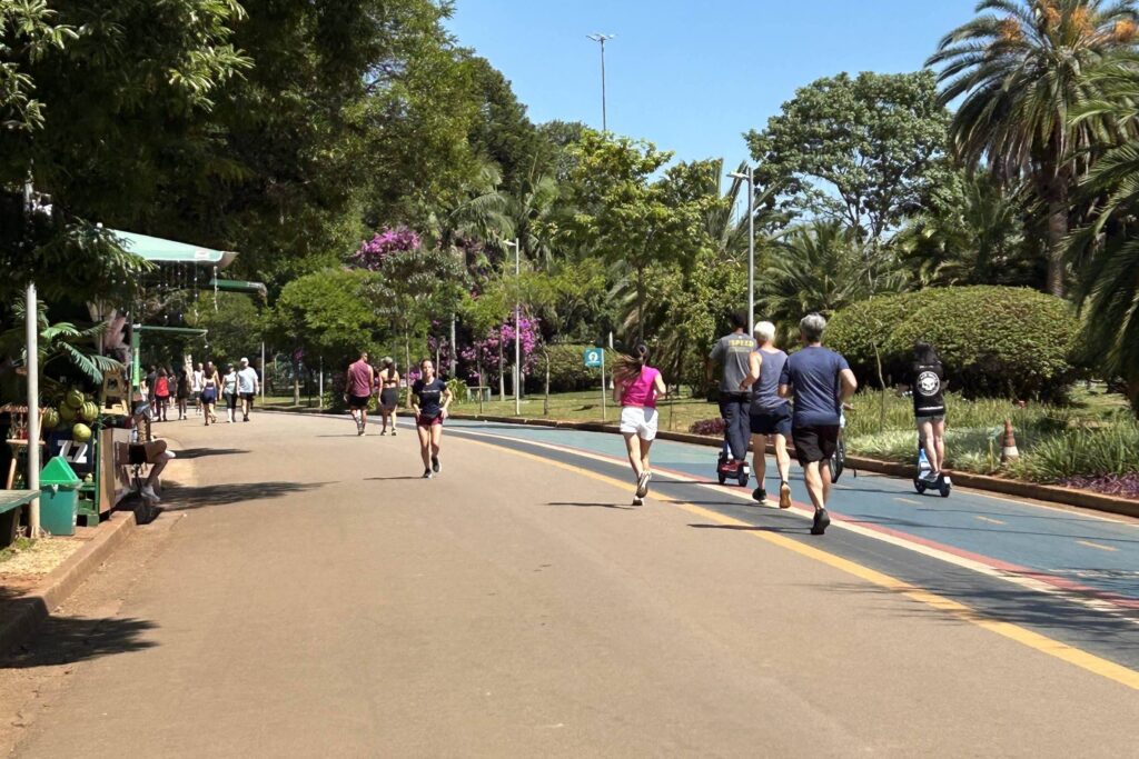 SP tem previsão de sol e máxima de 28°C neste sábado (14) - 14/03/2026 - Cotidiano