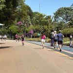 SP tem previsão de sol e máxima de 28°C neste sábado (14) - 14/03/2026 - Cotidiano