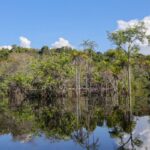 Tesouro muda regras de leilão para projetos sustentáveis