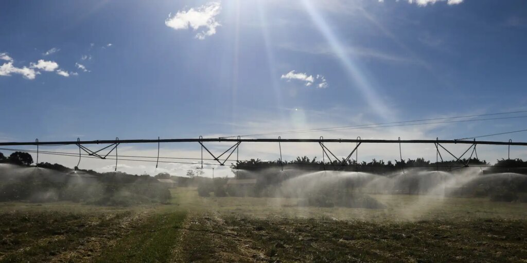 Ameaça sobre espécies dependentes do solo é desconhecida, diz estudo