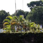 Criminalização de críticas ao governo de Israel preocupa especialistas