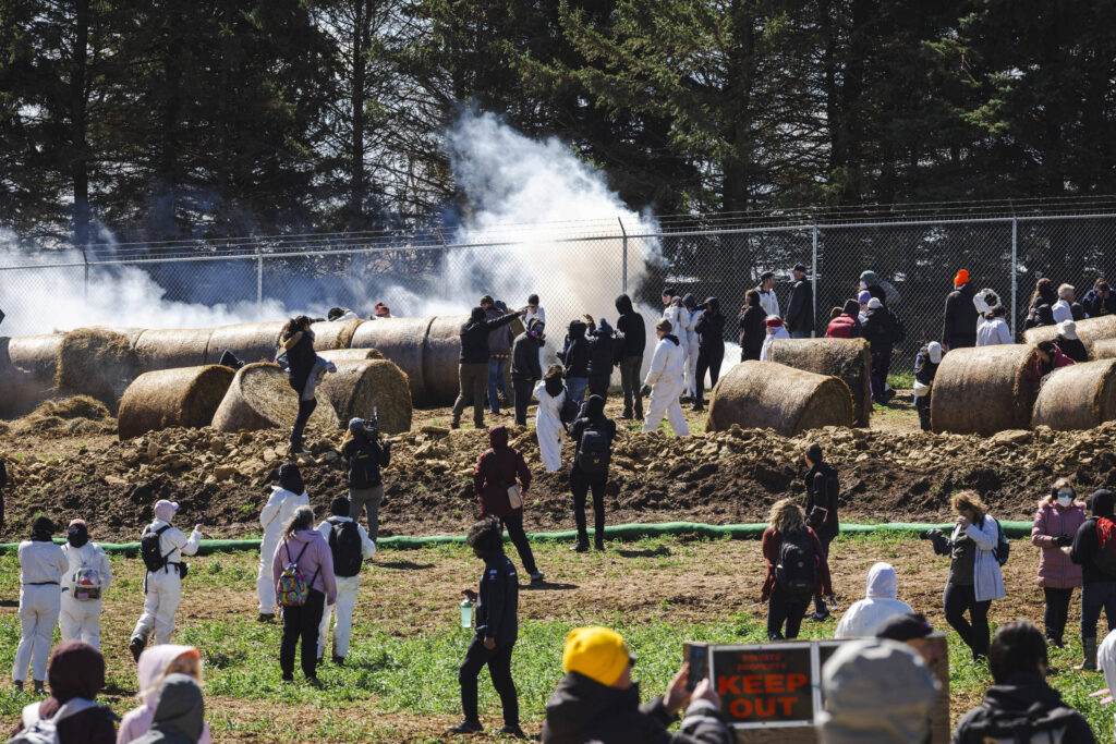 EUA: ativistas tentaram resgatar cães beagles de pesquisa - 19/04/2026 - Ciência
