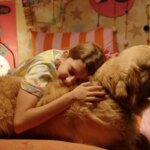 Festival de cinema BIFF 2026 divulga programação e selecionados