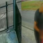 Jovem alerta a PM e salva mulher que foi arrastada para matagal e estuprada no PR