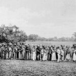 Maioria de empresários que apoiou ditadura vem de famílias escravistas