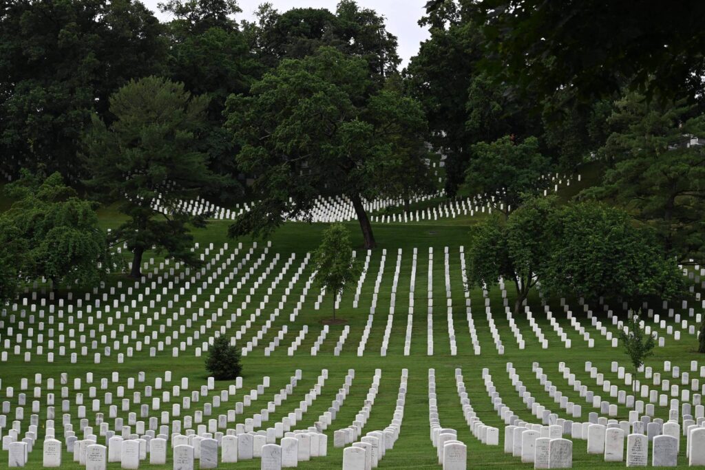 Policiais e militares dos EUA ainda resistem a psicodélicos - 30/04/2026 - Virada Psicodélica