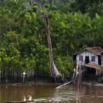 Projeto leva tratamento gratuito a doenças negligenciadas no Amazonas