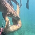 Turista mordida por tubarão em Fernando de Noronha divulga vídeo inédito e volta a mergulhar no local