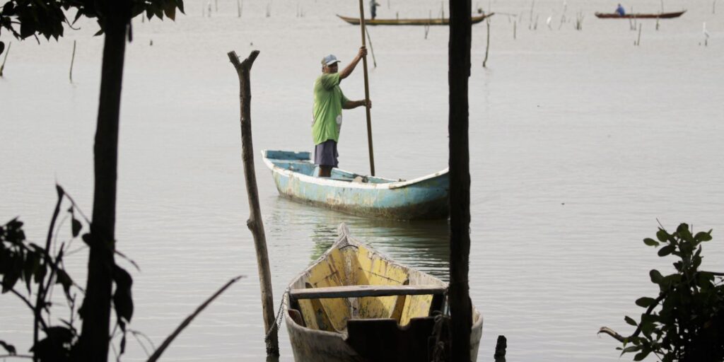 Conferências estaduais de aquicultura e pesca serão em junho e julho| Agência Brasil