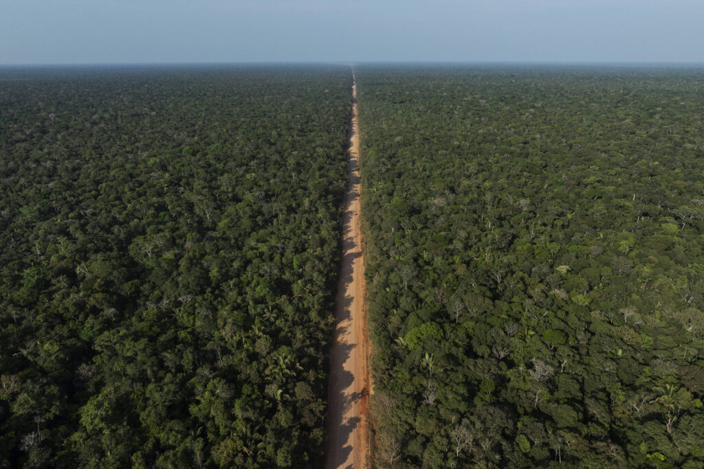 Governo Lula prevê R$ 1,5 bi para BR-319 - 25/05/2026 - Ambiente