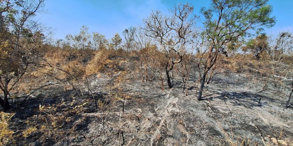 Mudanças climáticas já afetam 85% dos brasileiros, diz pesquisa