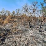Mudanças climáticas já afetam 85% dos brasileiros, diz pesquisa