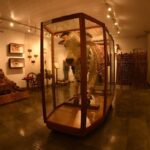 Museu exibe história do gado zebu e memórias ferroviárias - 02/05/2026 - Sobre Trilhos