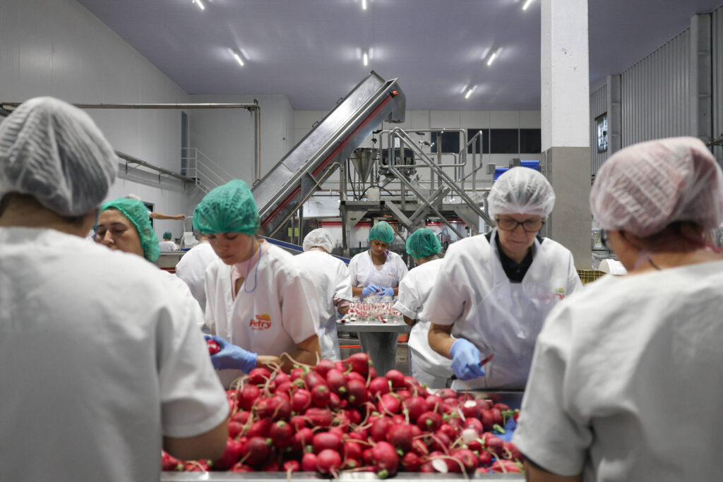 PIB: IBGE divulga resultado do 1º trimestre de 2026 - 29/05/2026 - Economia