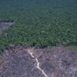 Países discutem solução para combustível fóssil e desmatamento ilegal