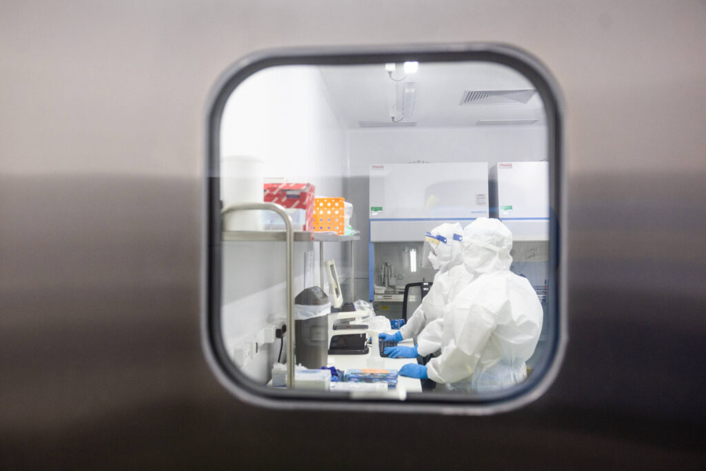 Pasteur quer mapear vírus em ratos e ratazanas em SP - 03/05/2026 - Ciência