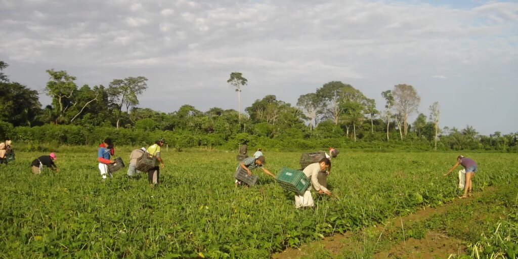 Prêmio para produção acadêmica destaca agricultura familiar