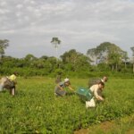 Prêmio para produção acadêmica destaca agricultura familiar