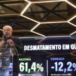 Desmatamento na Amazônia cai 61,4% em maio de 2026