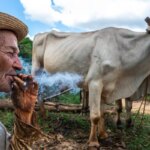 Mostra gratuita com 67 artistas ocupa Parque Glória Maria no Rio