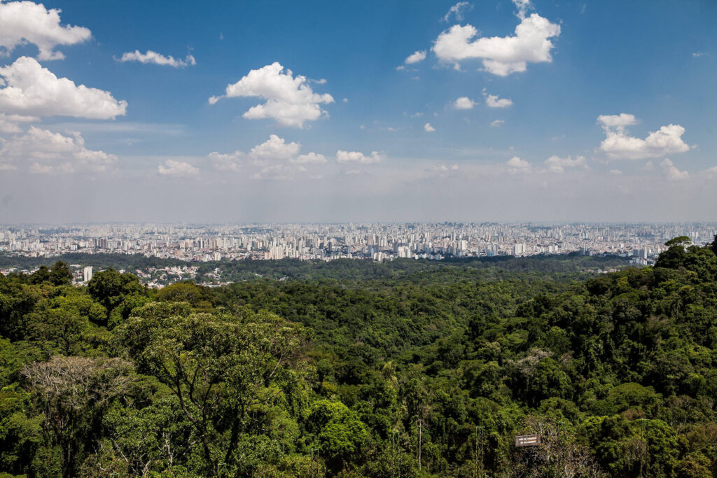 São Paulo terá tempo firme e temperatura mais alta - 29/06/2026 - Cotidiano
