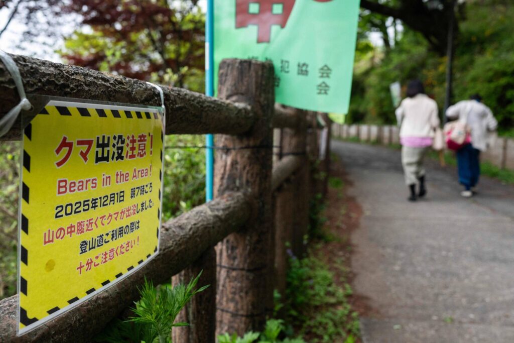 Vídeo: Urso ataca 4 pessoas em Fukushima, no Japão - 03/06/2026 - Mundo