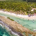 Barulho de barco e de turistas afeta comunicação de peixes, diz estudo