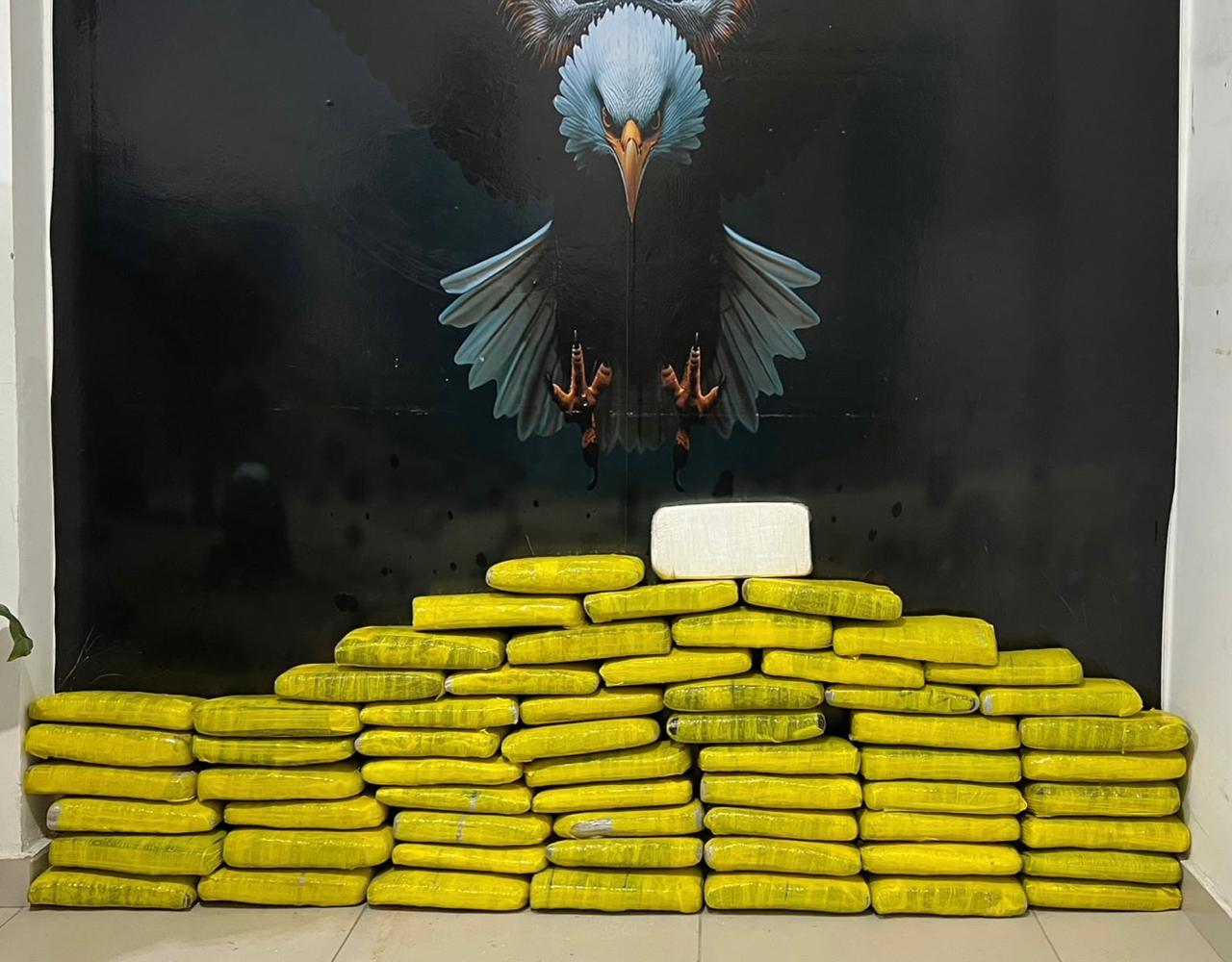 DENARC apreende mais de 52 quilos de drogas durante operação