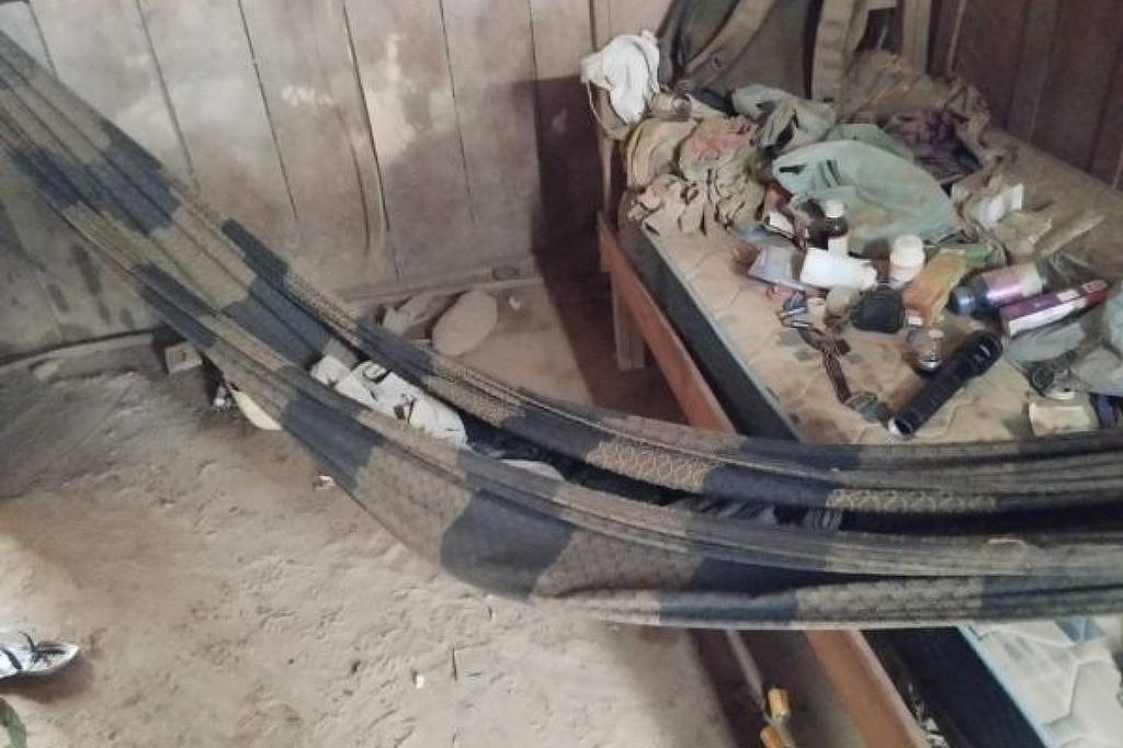 Homem resgatado no Pará dividia alojamento com bois e porcos - 23/07/2026 - Economia