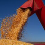 IBGE prevê safra de 347,4 milhões de toneladas para 2026