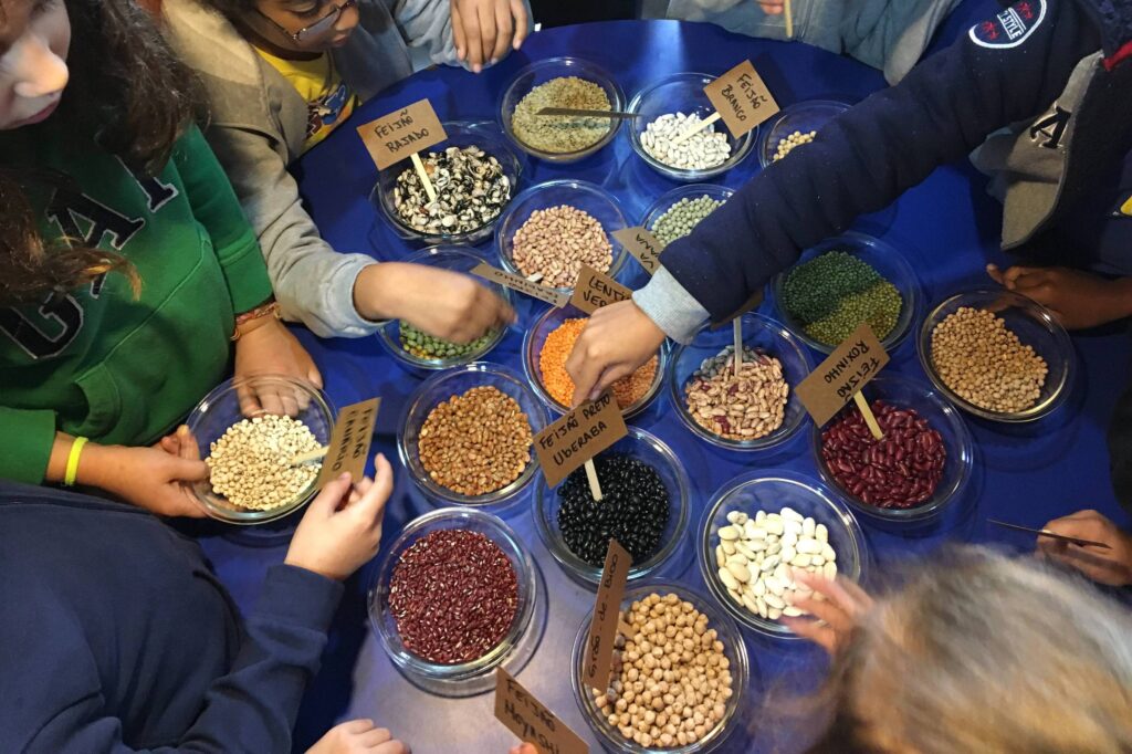 ICC apresenta pesquisa sobre alimentação em escolas - 30/07/2026 - Mônica Bergamo