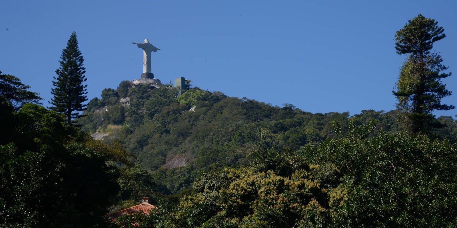 Parque Nacional da Tijuca celebra 65 anos com programação especial