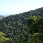 Plano mobiliza R$ 500 bi para financiamento sustentável no Brasil