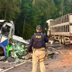 Acidente entre ônibus e caminhão mata 23 pessoas em estrada no Paraná