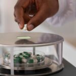 Ações farmacêuticas atraem investidores fora da IA - 30/08/2026 - Economia