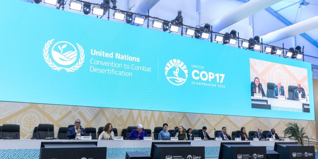 Afetada por disputas geopolíticas, COP17 termina com poucos avanços