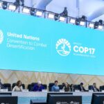 Afetada por disputas geopolíticas, COP17 termina com poucos avanços